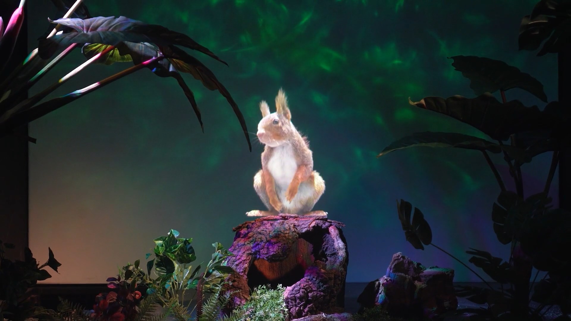 Holographic primate in natural scenery