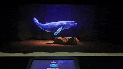 Holozoo holographic aquarium