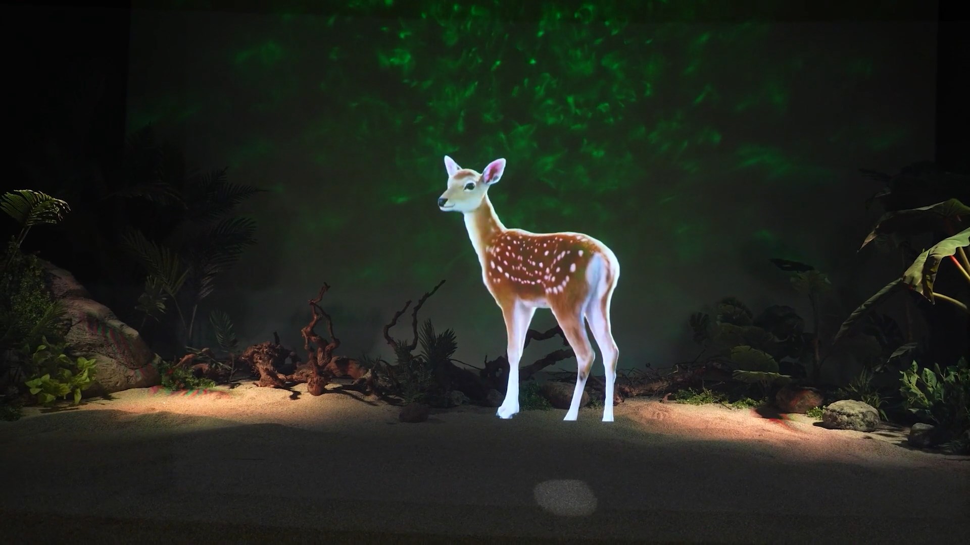 Animated Dinosaur Safari