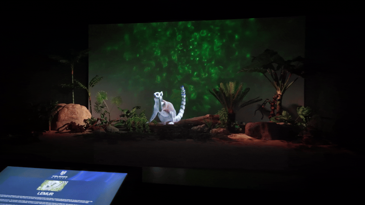Child interacting with Holozoo display