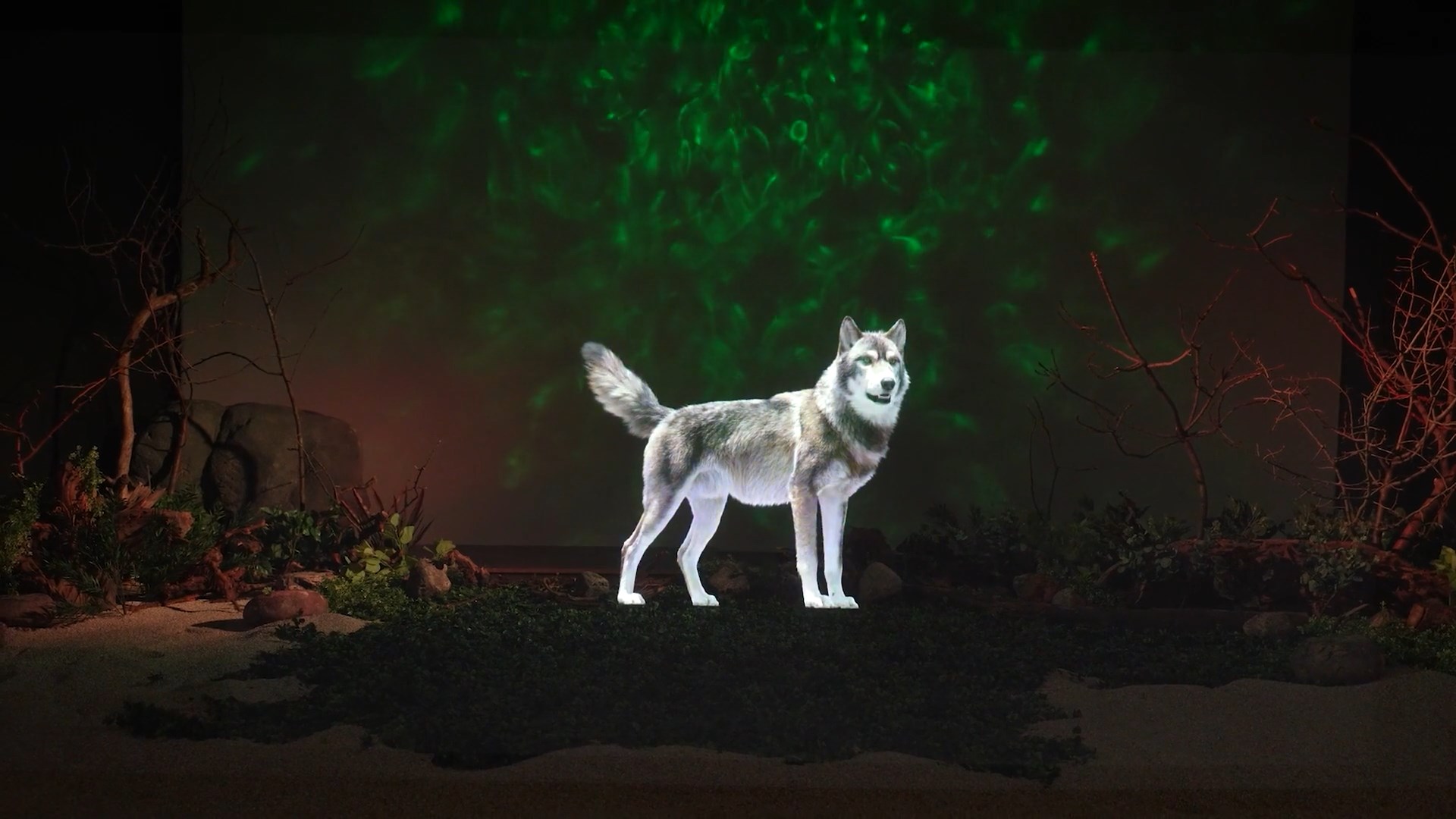 Animated holographic lemur